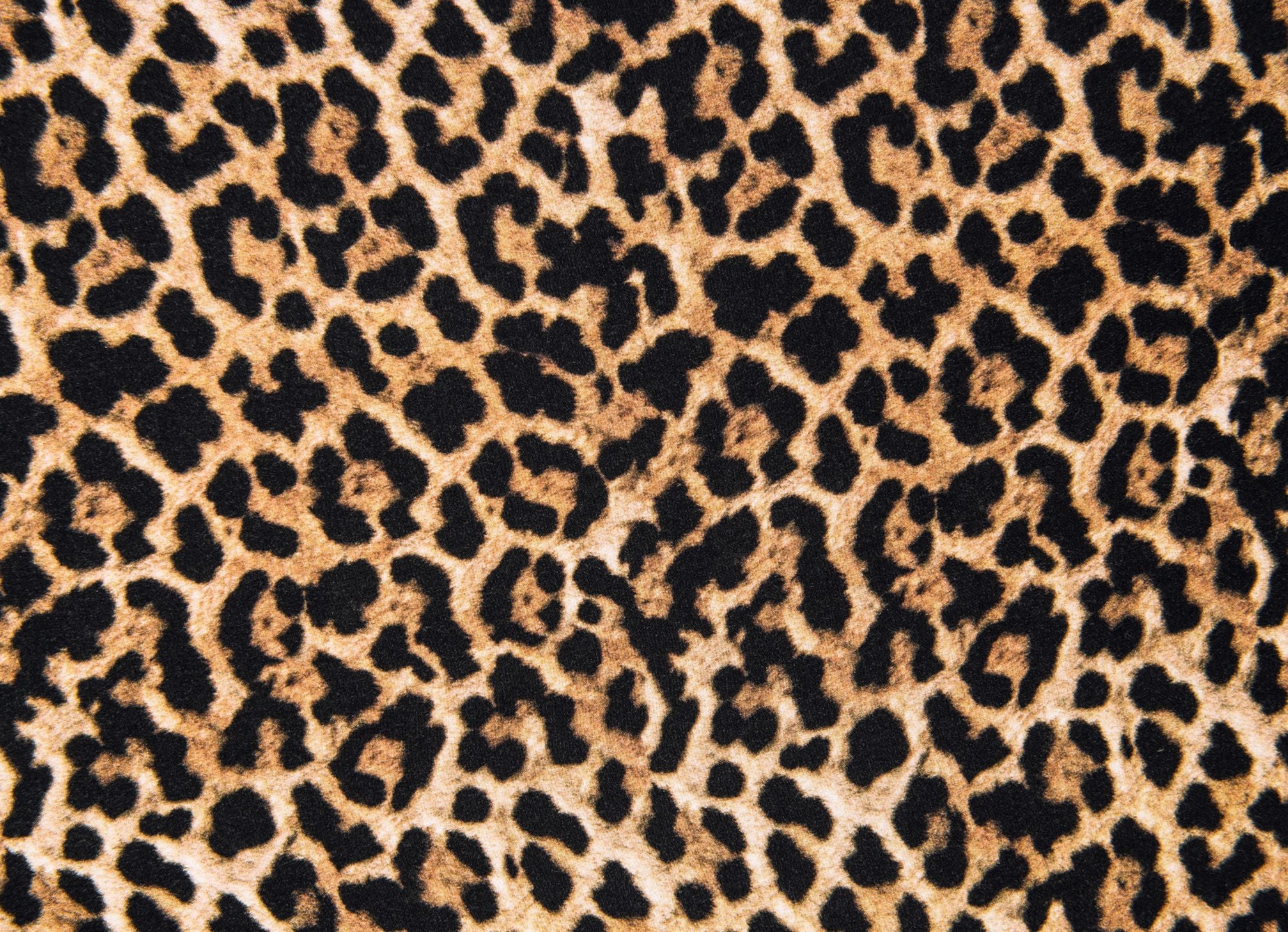 Impression feuille de sucre Leopard 2