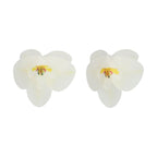FunCakes 10 Fleurs En Papier Comestibles Deluxe Orchidée Blanc Moyenne